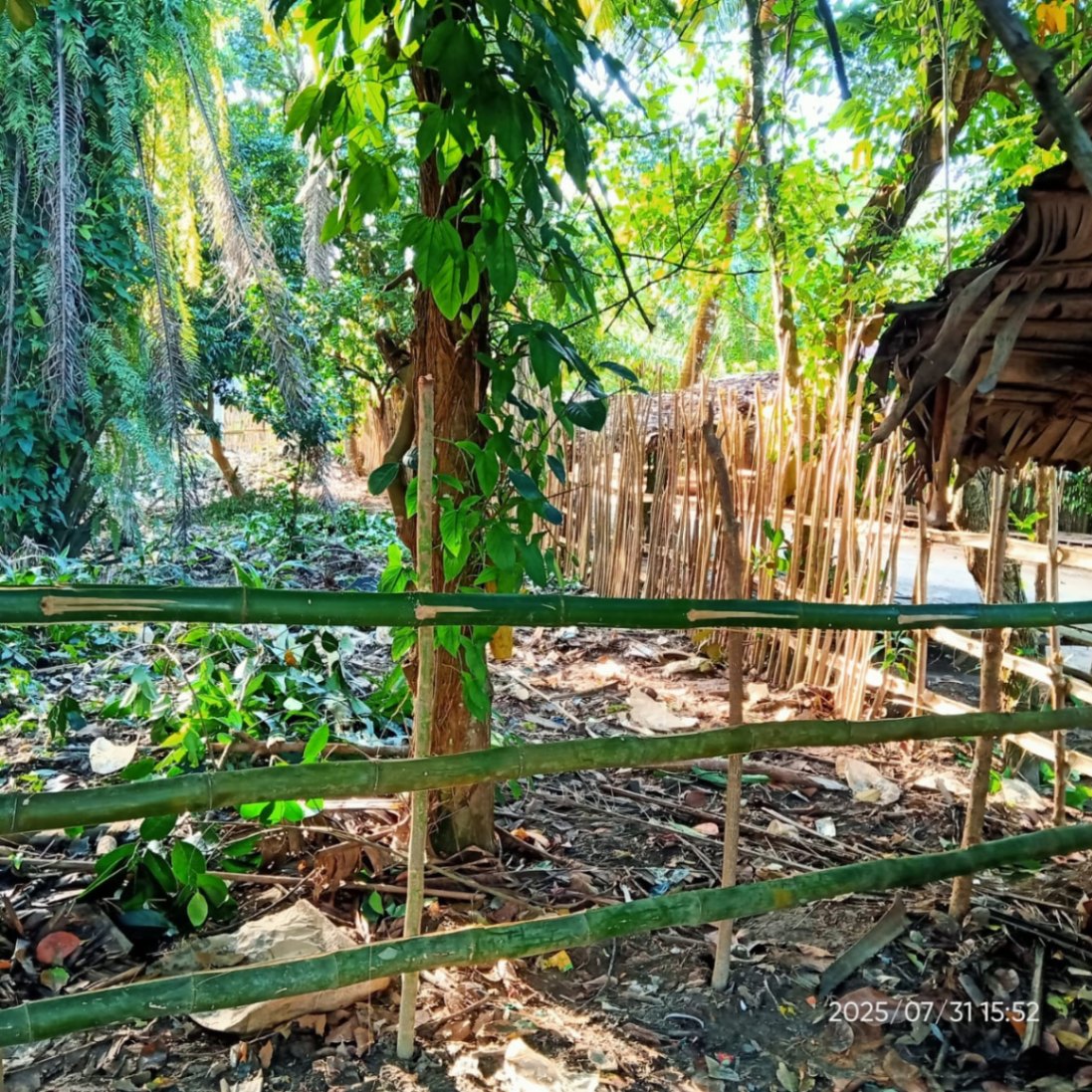 Suivi Techniques des activités